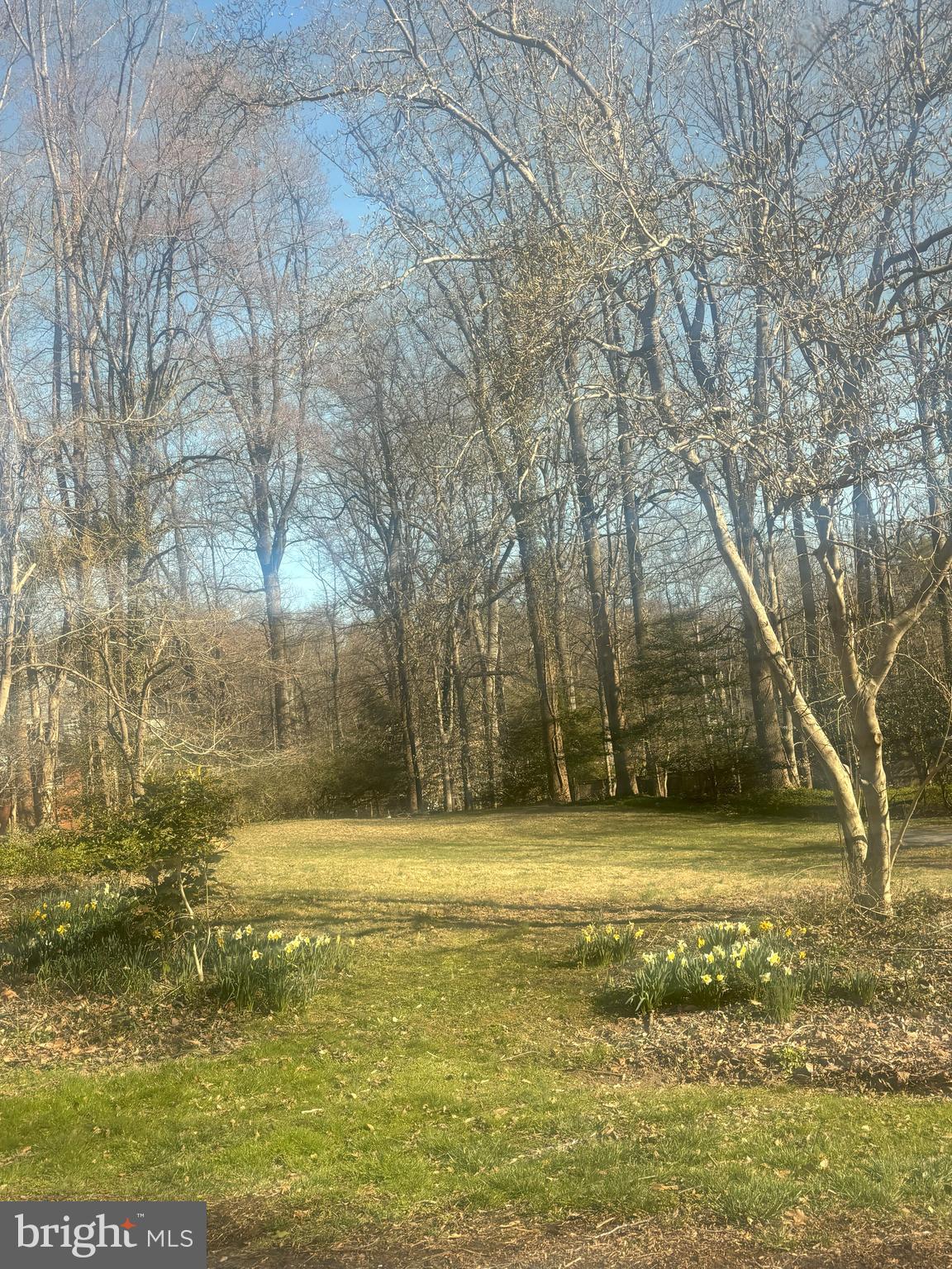 BURNING TREE MANOR - Land