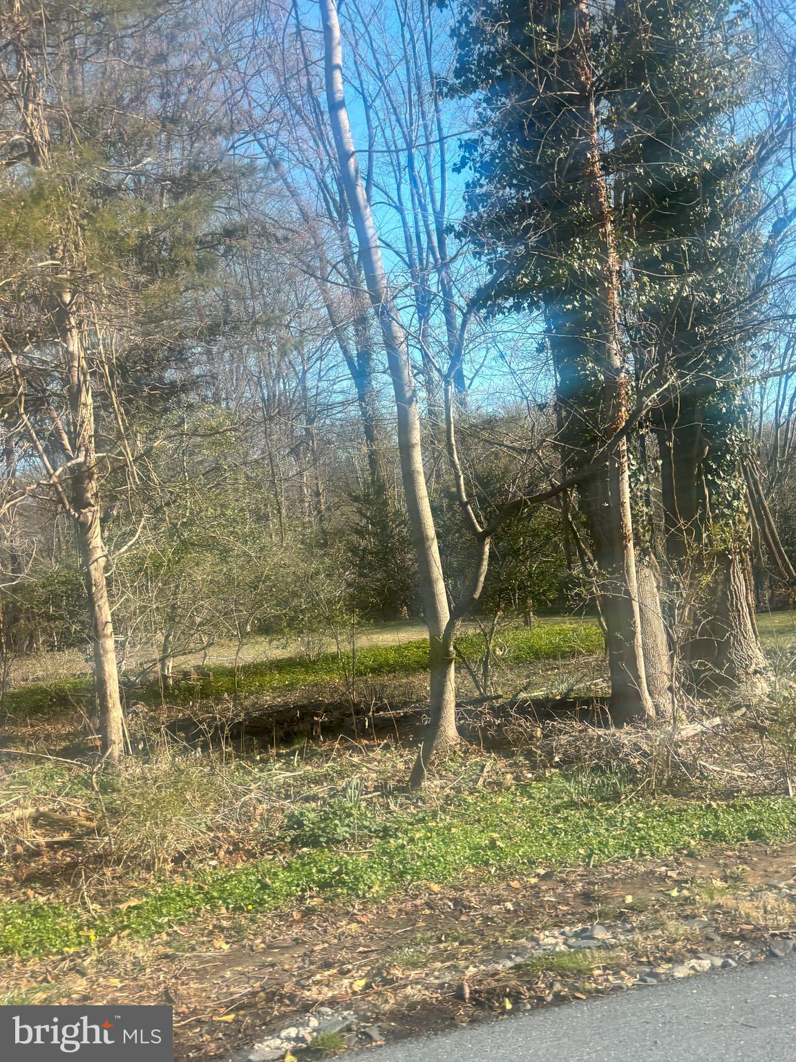 BURNING TREE MANOR - Land