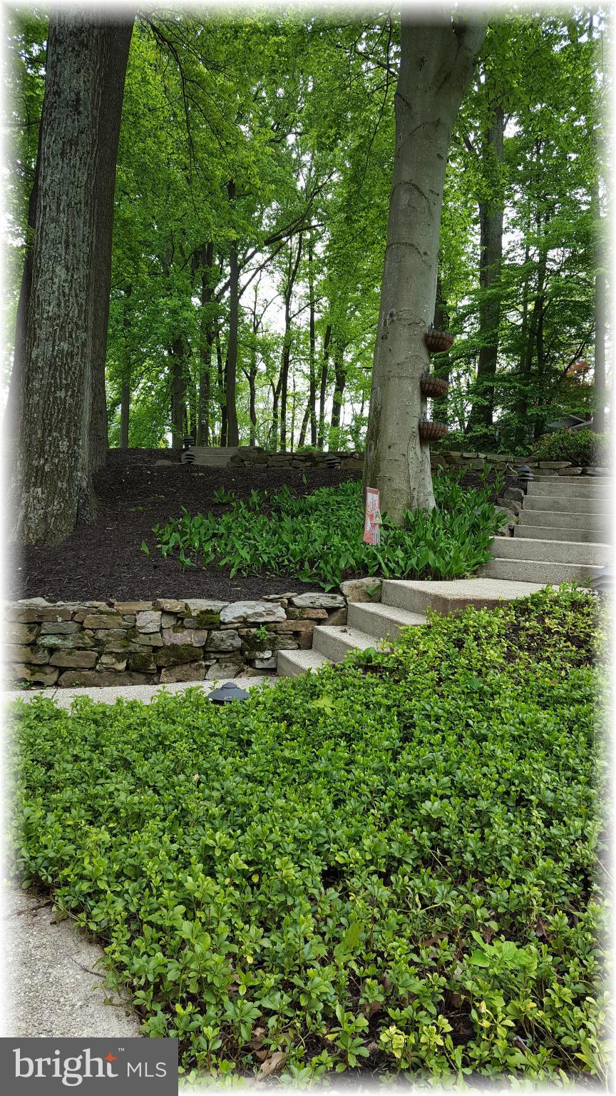 WALNUT HILL ESTATES - Residential