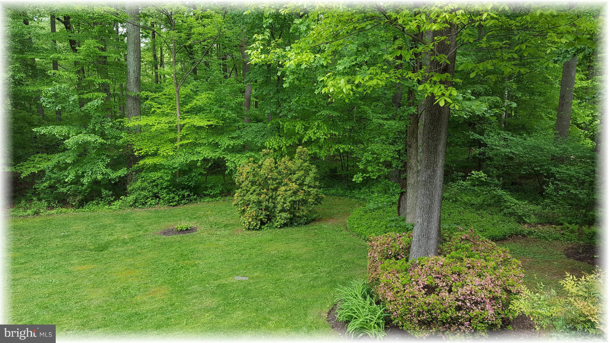 WALNUT HILL ESTATES - Residential