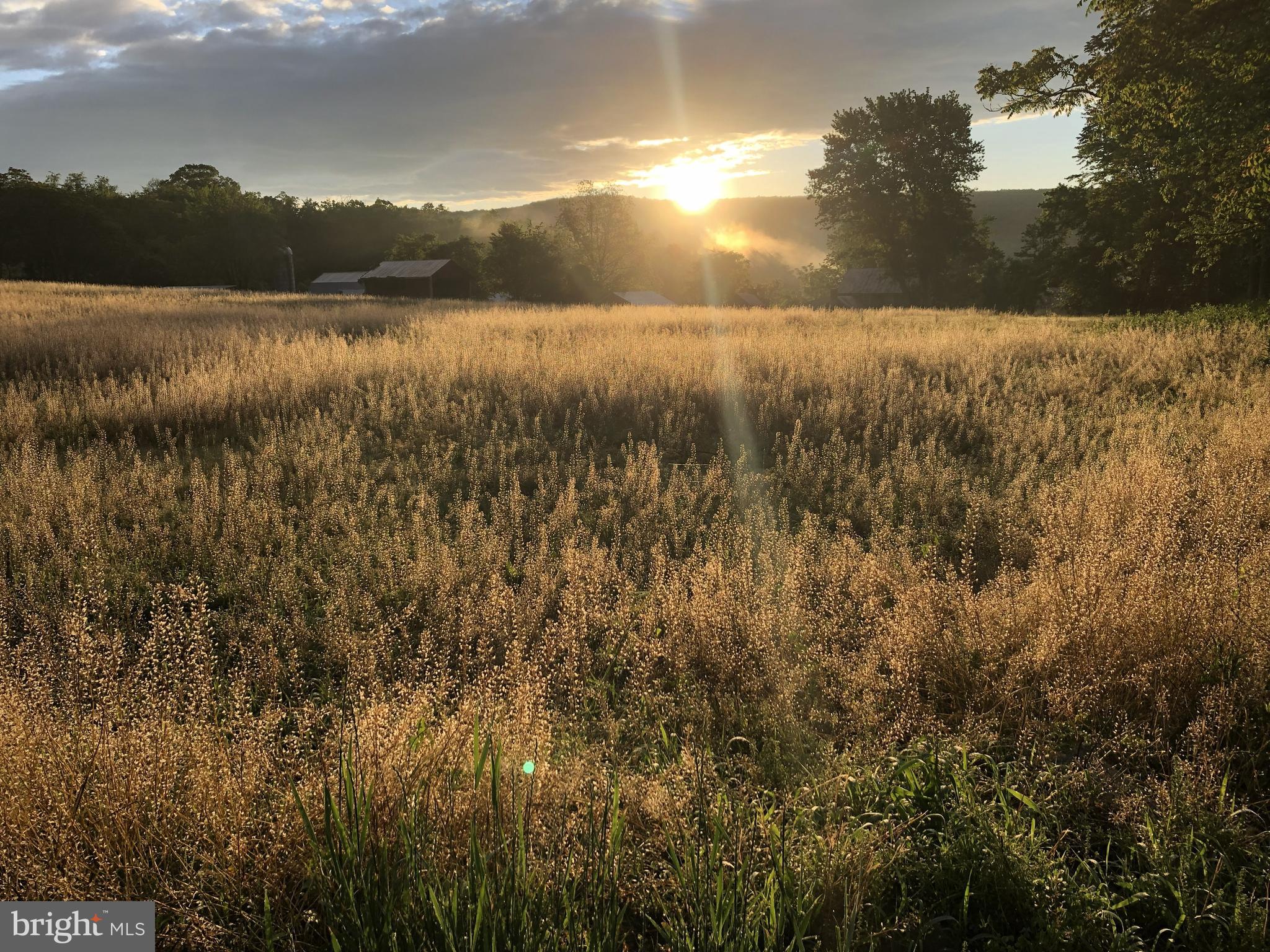FOX RUN WOODS - Residential
