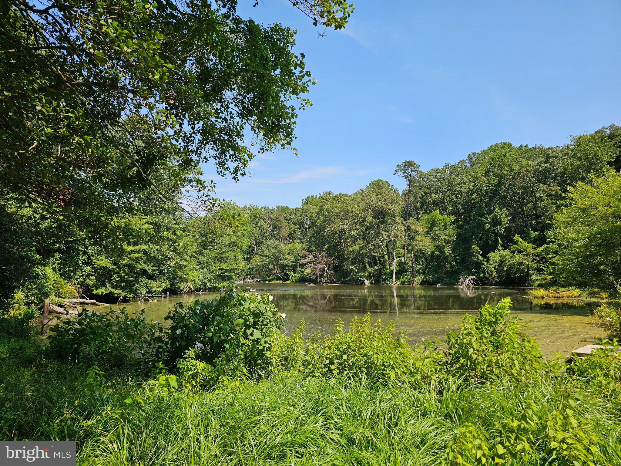 LAKE FOREST - Residential