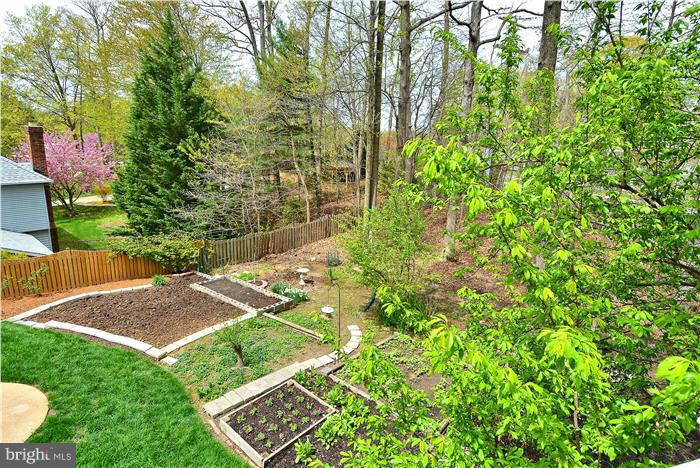 SOUTH RUN FOREST - Residential