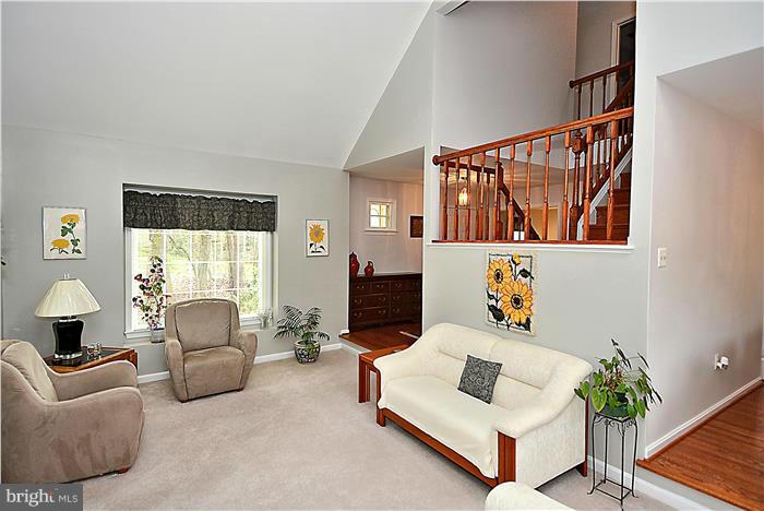 SOUTH RUN FOREST - Residential