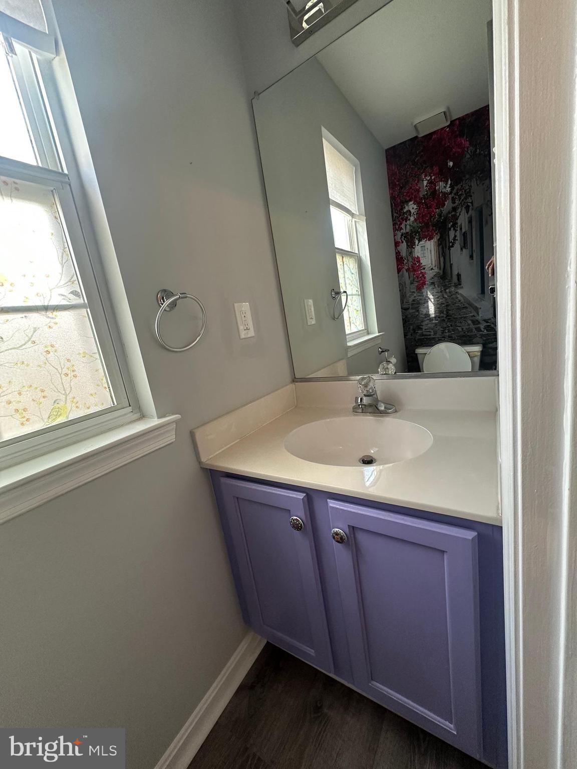 GREAT FALLS CHASE - Residential