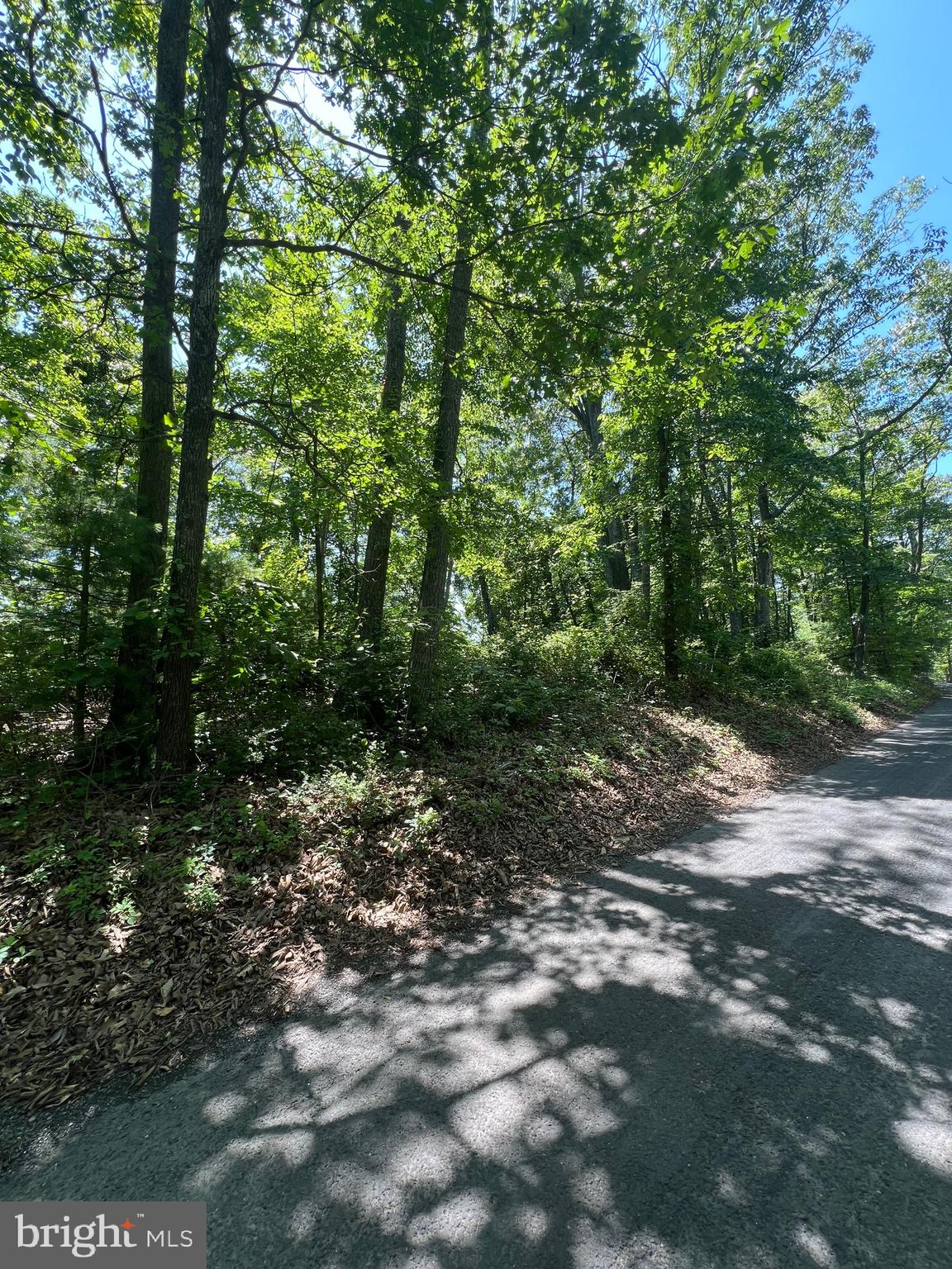 BEVERLY B BOWERS - Land