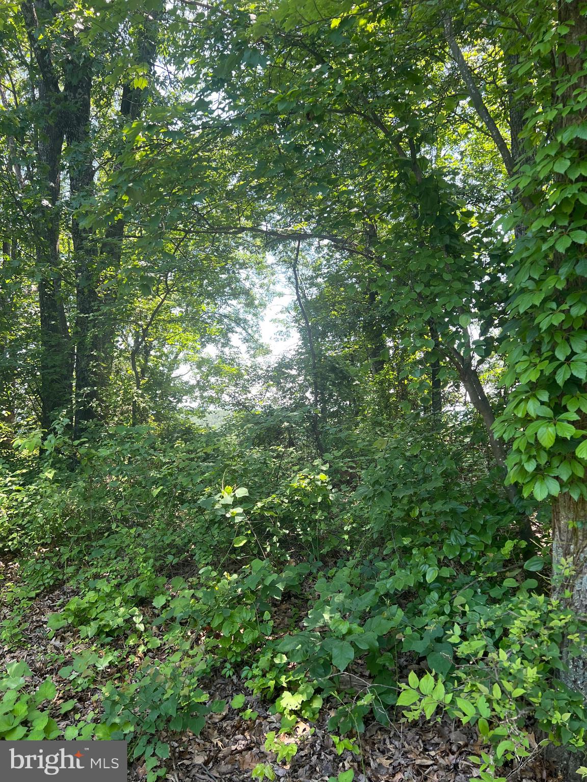 BEVERLY B BOWERS - Land