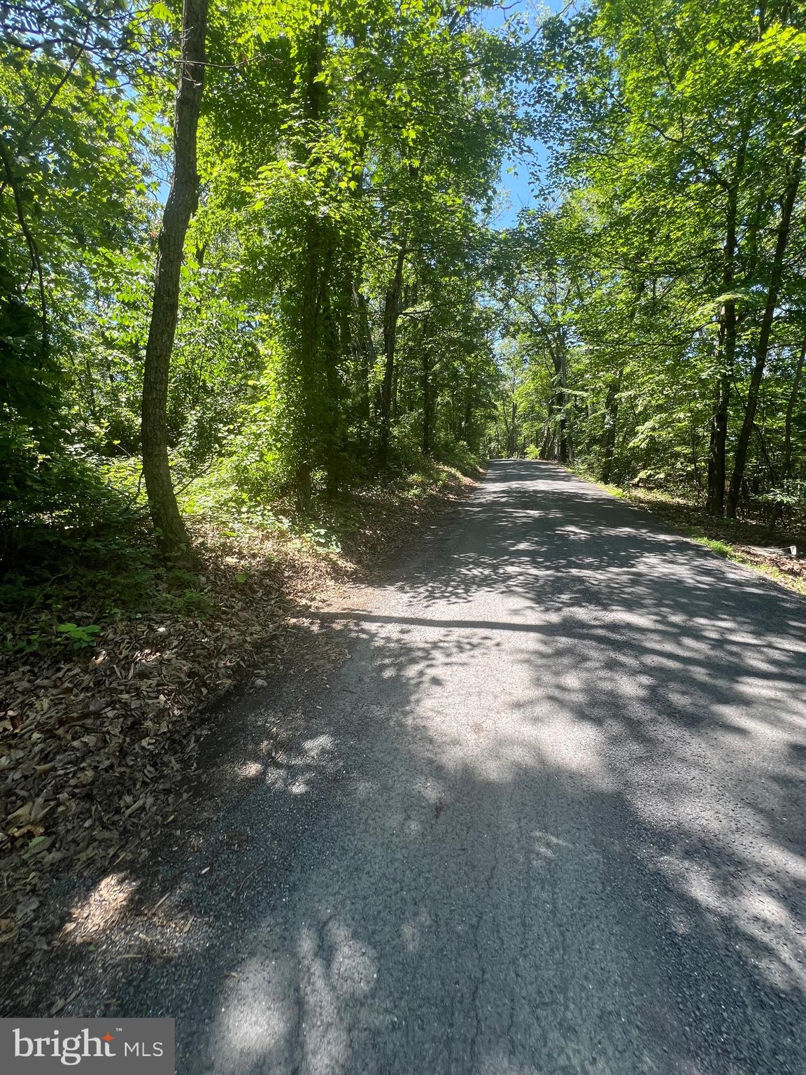 BEVERLY B BOWERS - Land