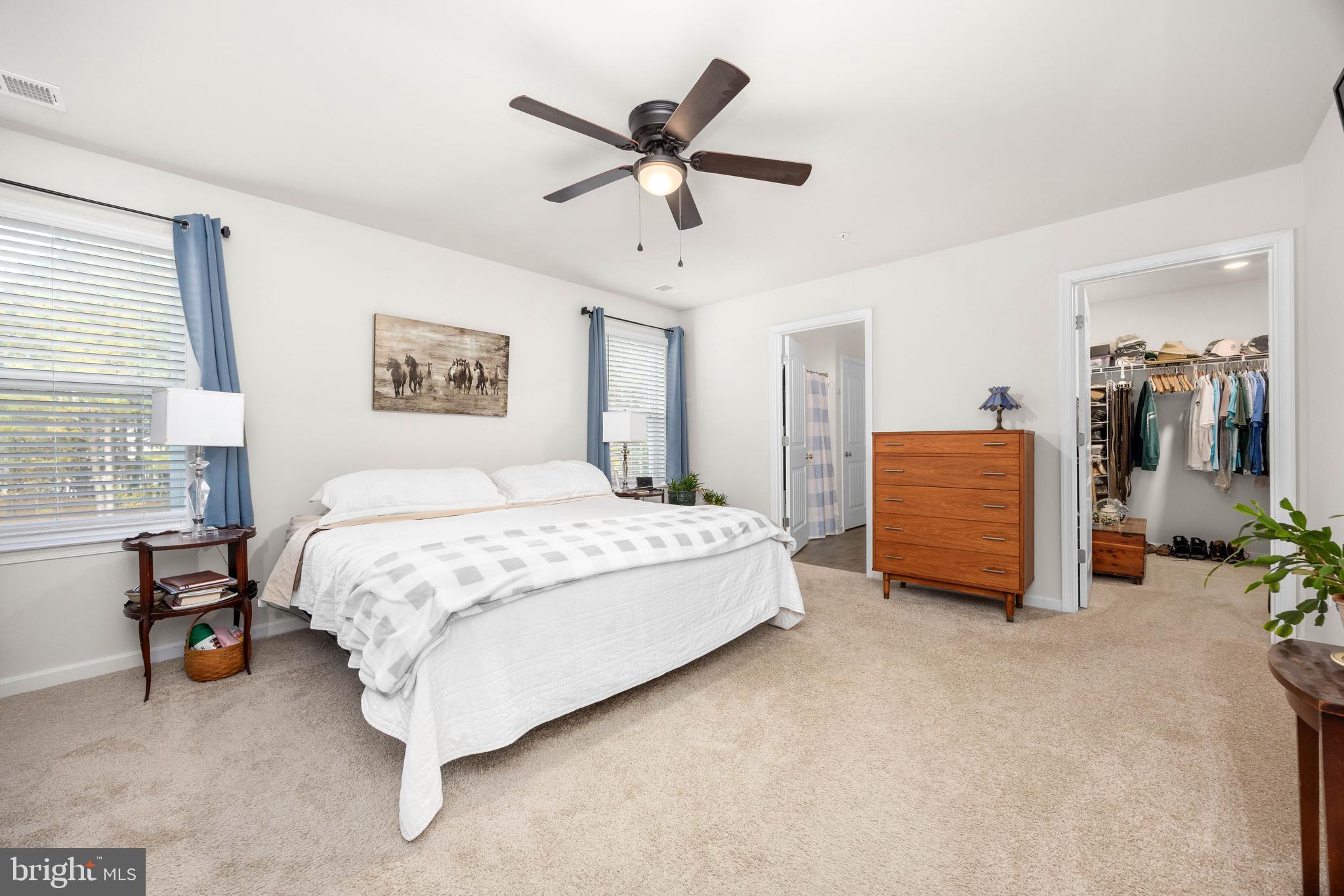 SASSAFRAS MEADOWS - Residential