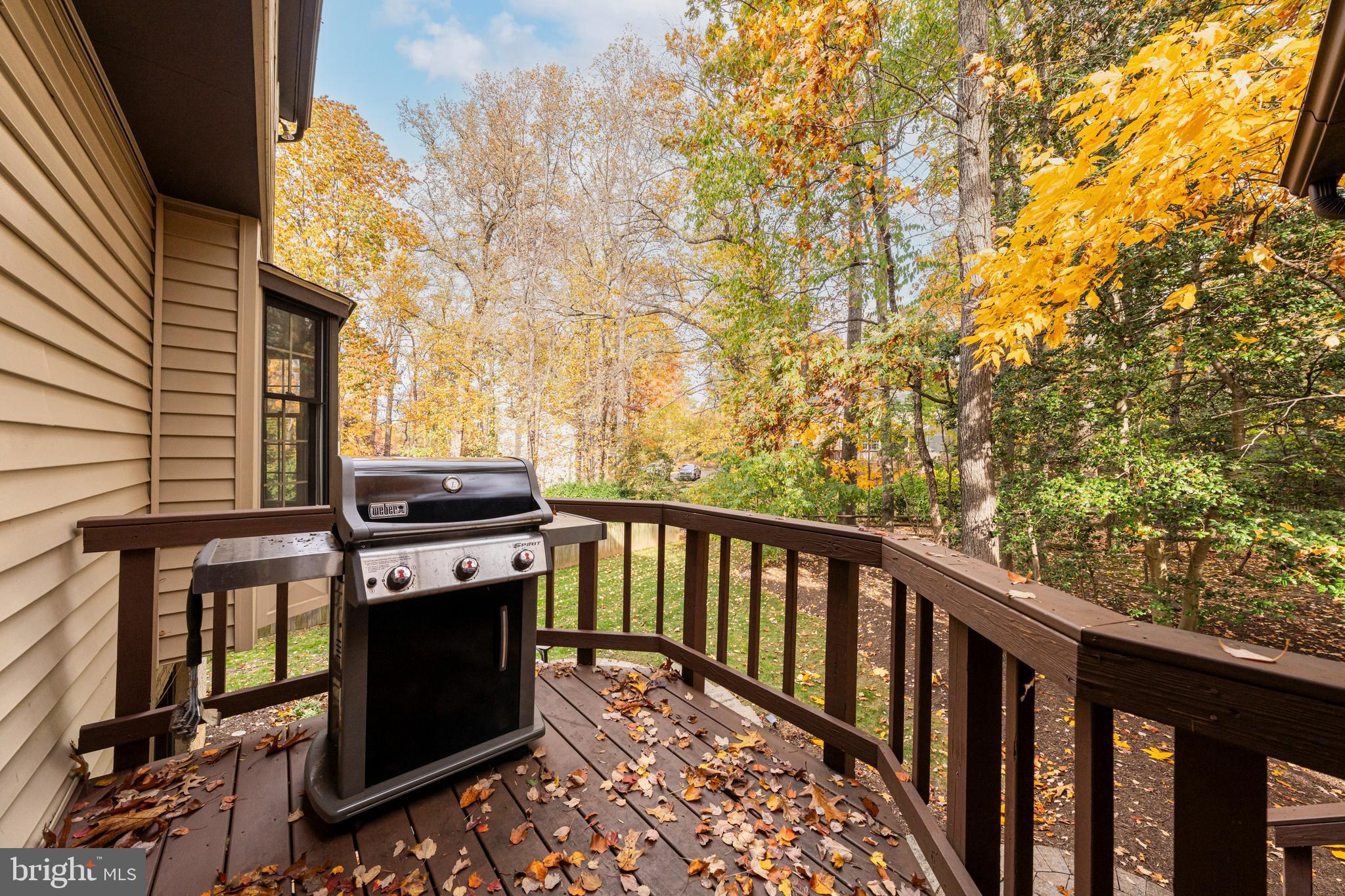 BLUFFS OF WOLF TRAP - Residential