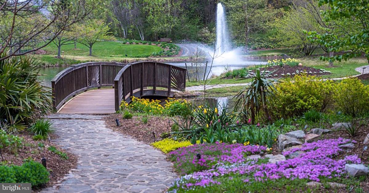 BLUFFS OF WOLF TRAP - Residential