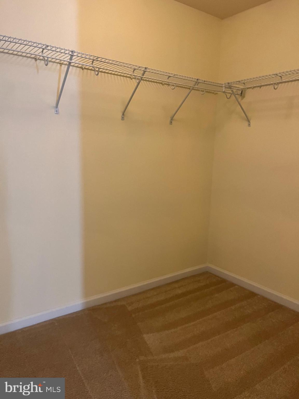 NORBORNE GLEBE - Residential Lease