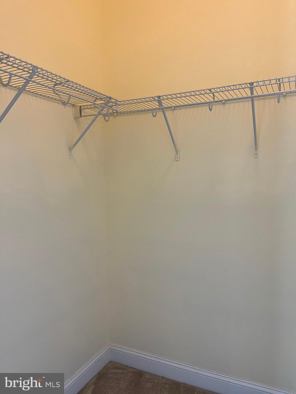 NORBORNE GLEBE - Residential Lease