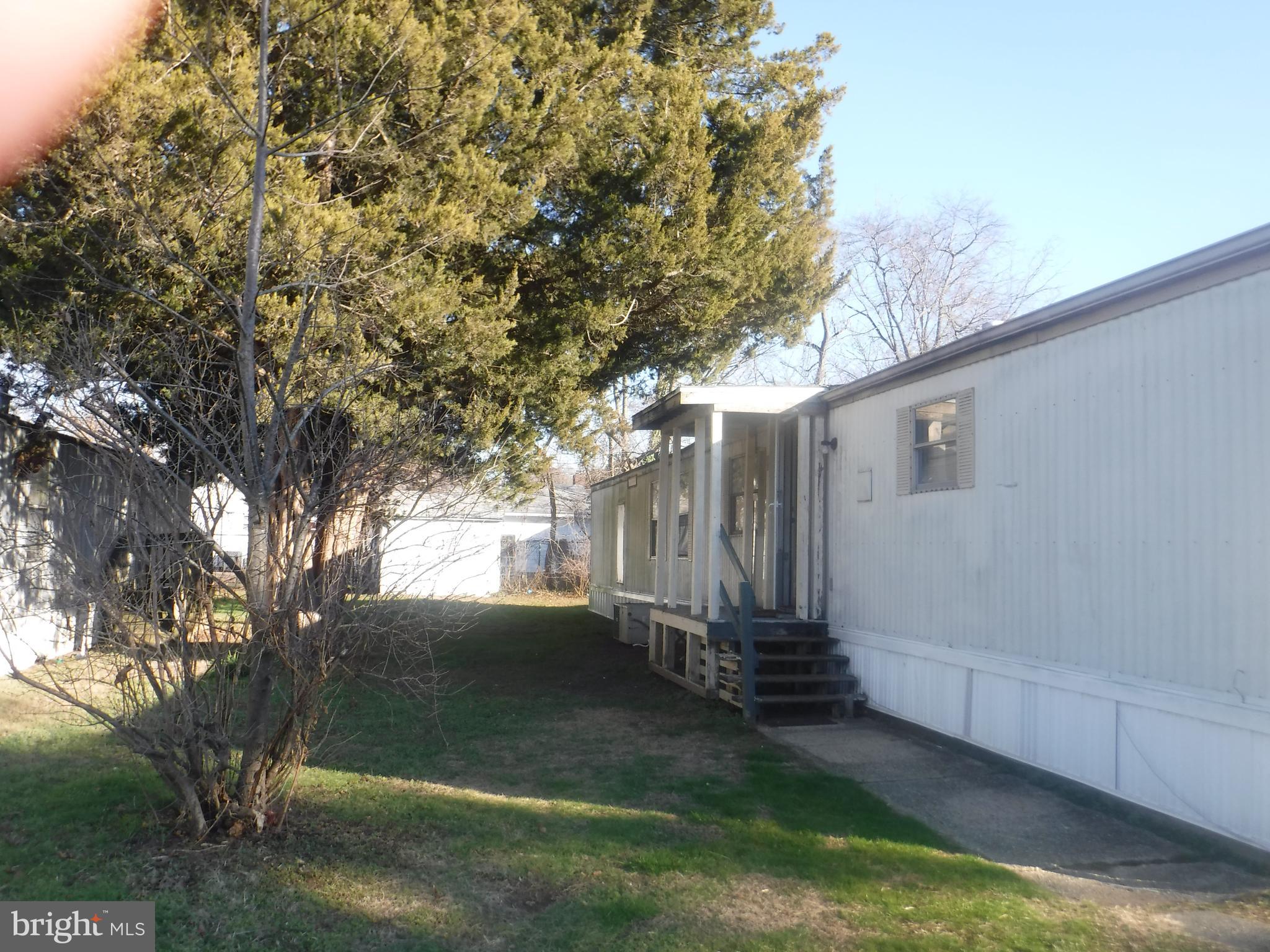 53 SHAMROCK AVENUE