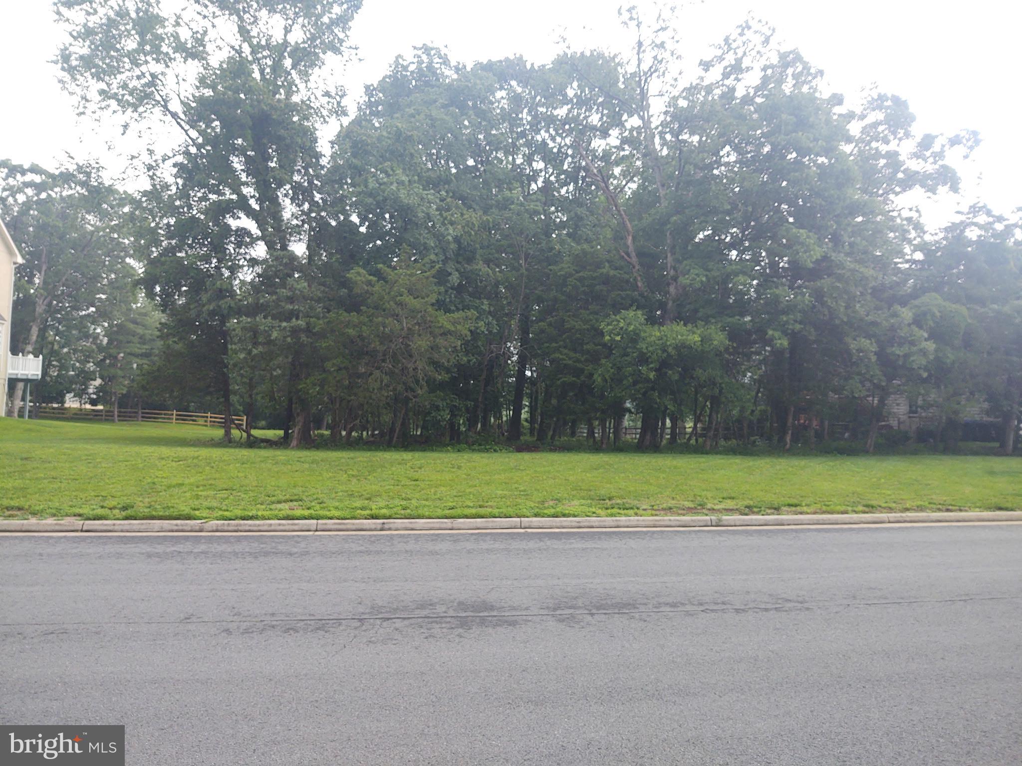 15564 SMITHFIELD PLACE