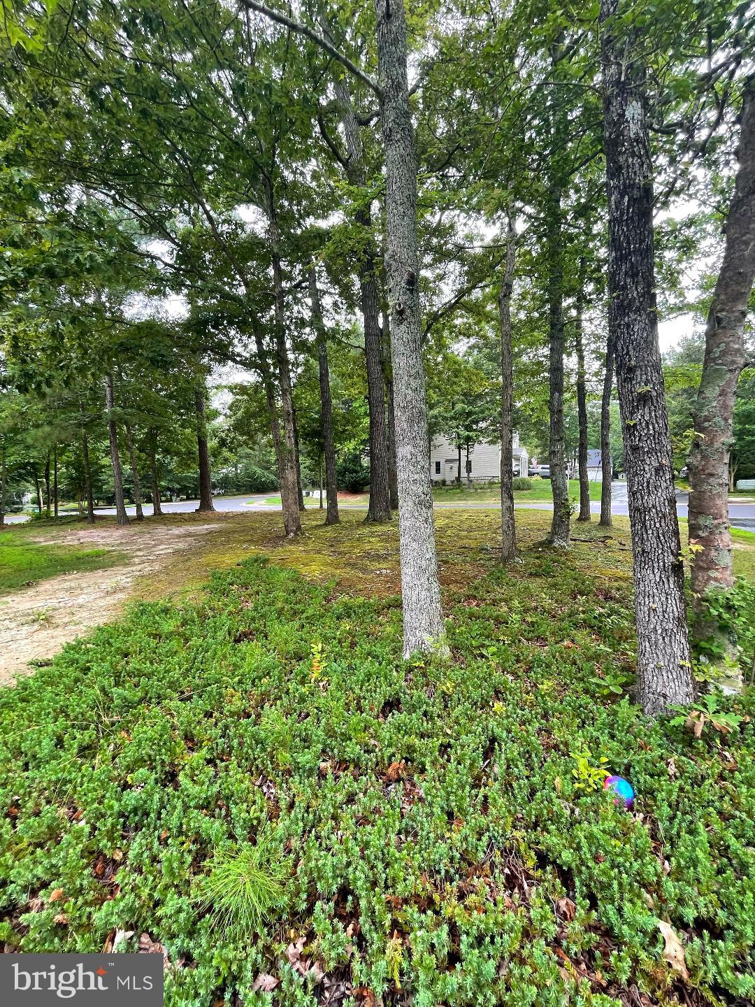 PEPPER RIDGE OF WILDEWOOD - Residential