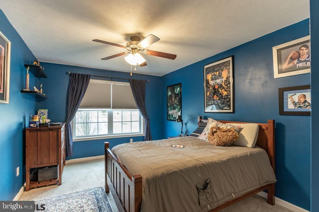 TROTTER FARMS - Residential