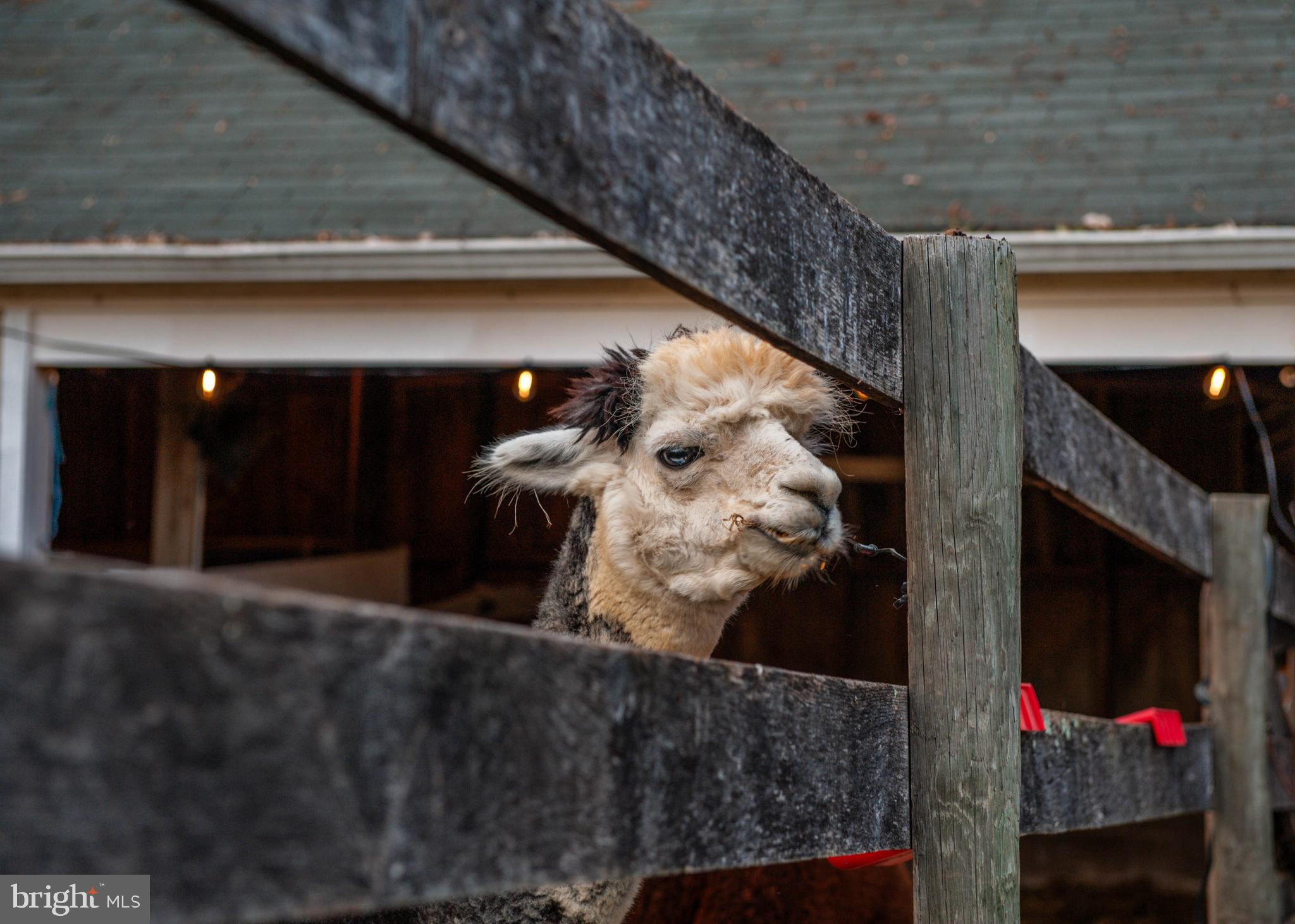 PHOENIX - Residential