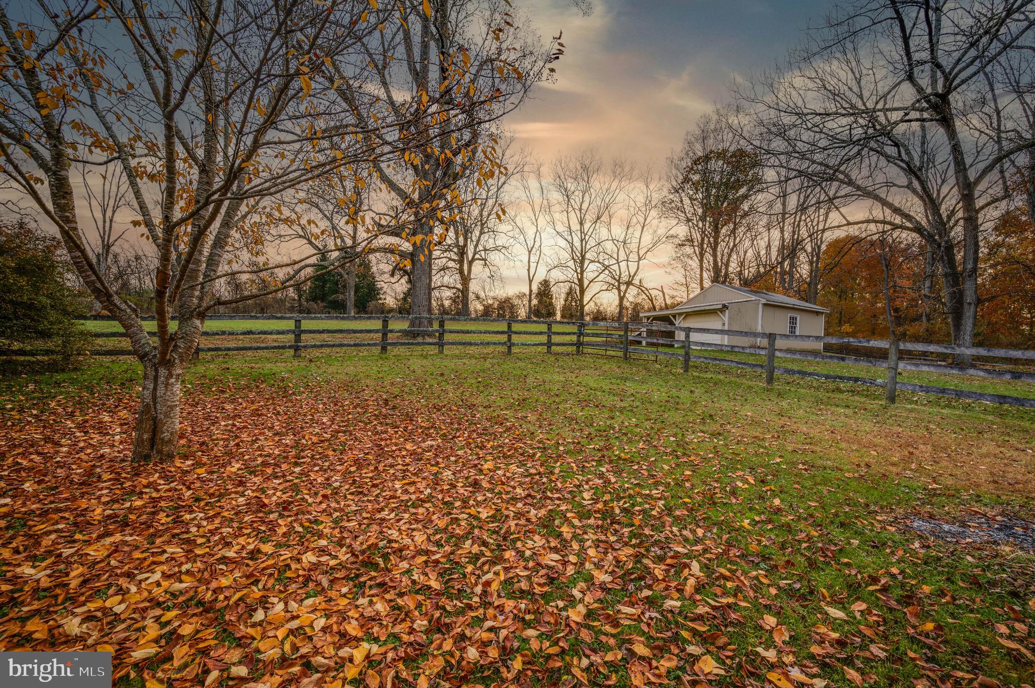 PHOENIX - Residential