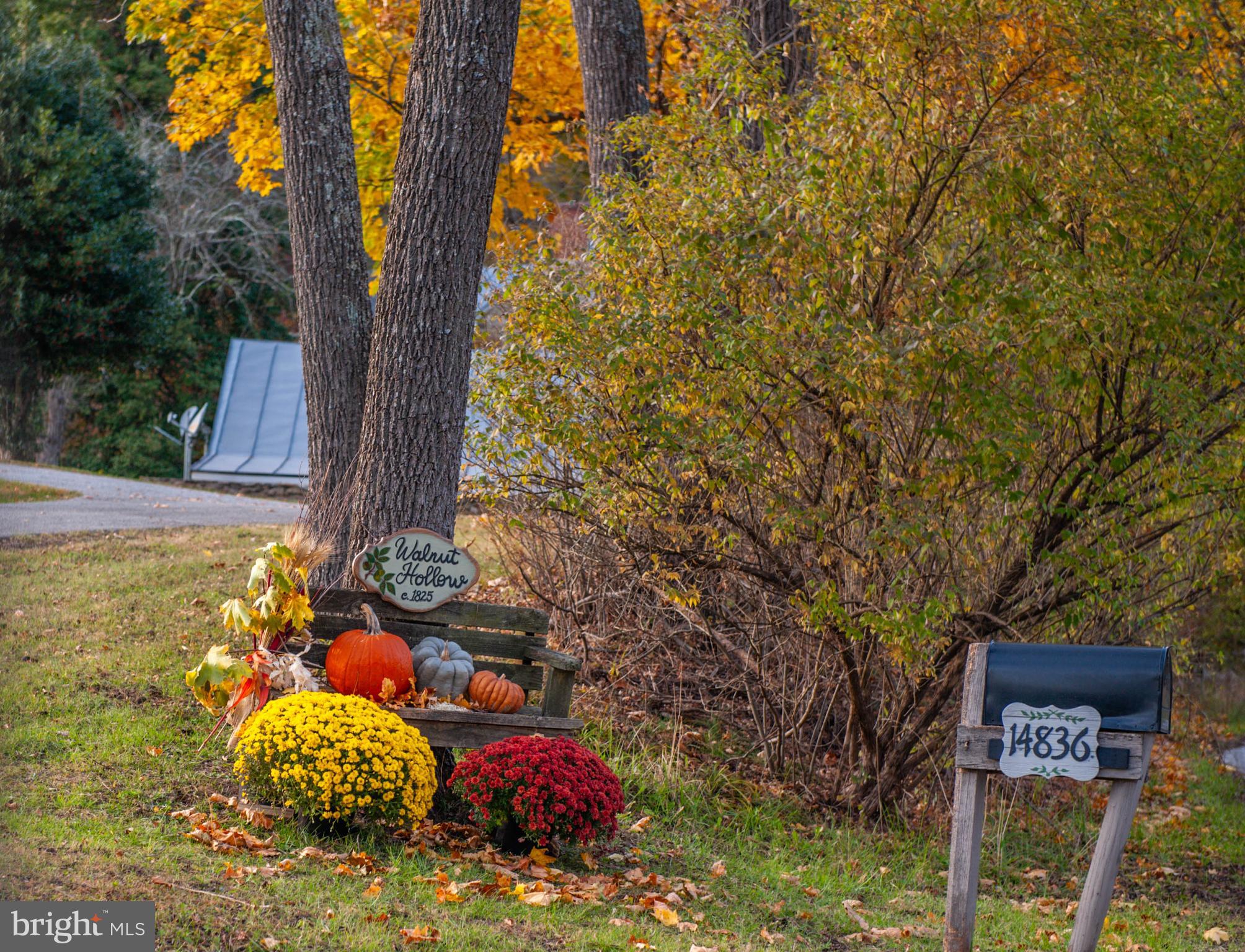 PHOENIX - Residential