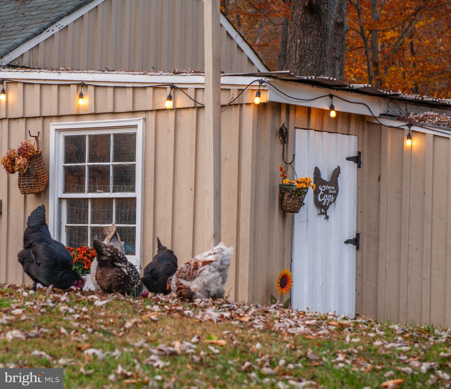 PHOENIX - Residential