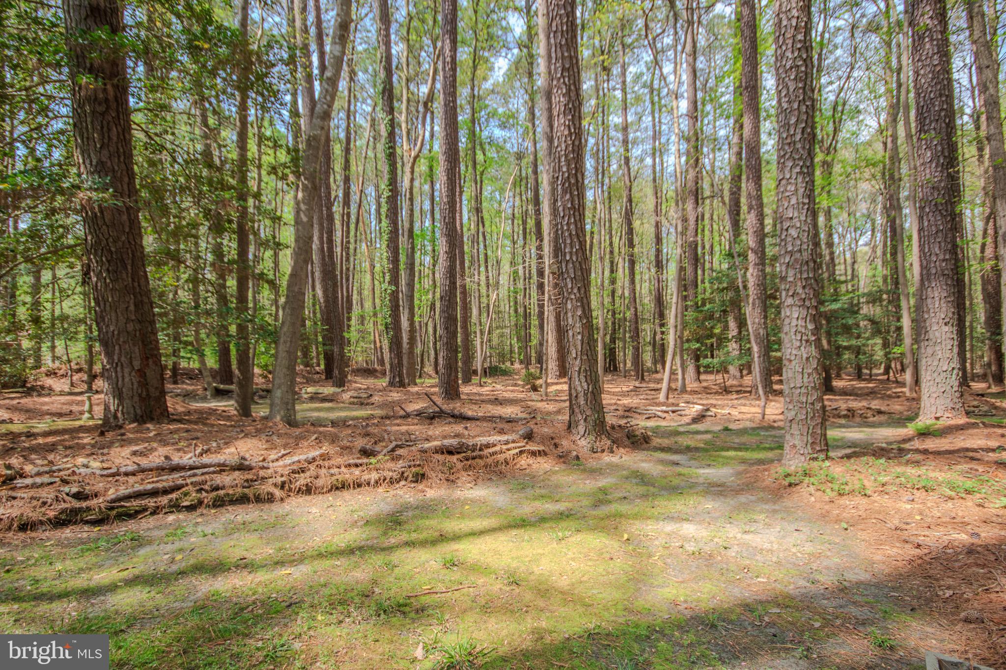 DEER HARBOUR - Residential