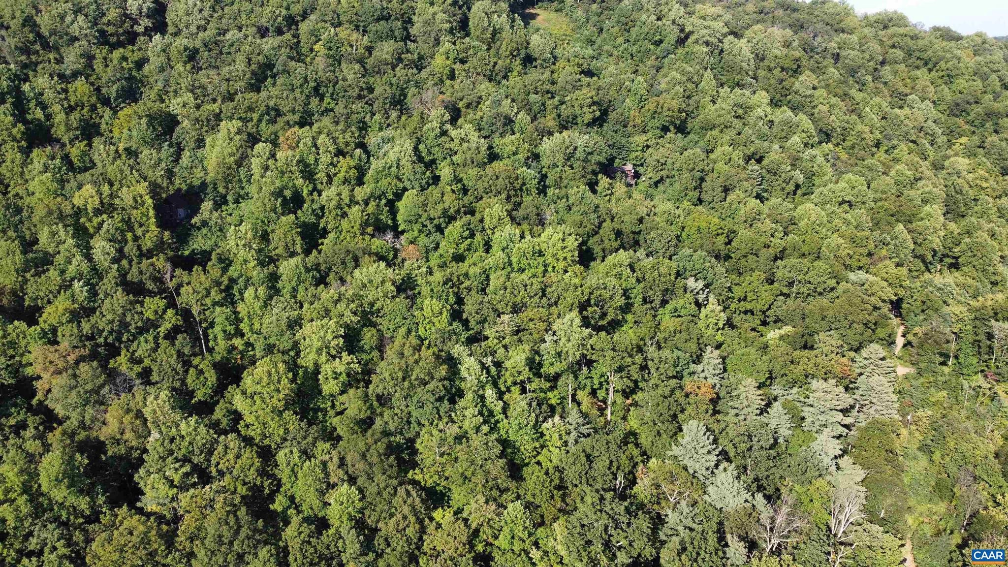 DANIELS MOUNTAIN - Land