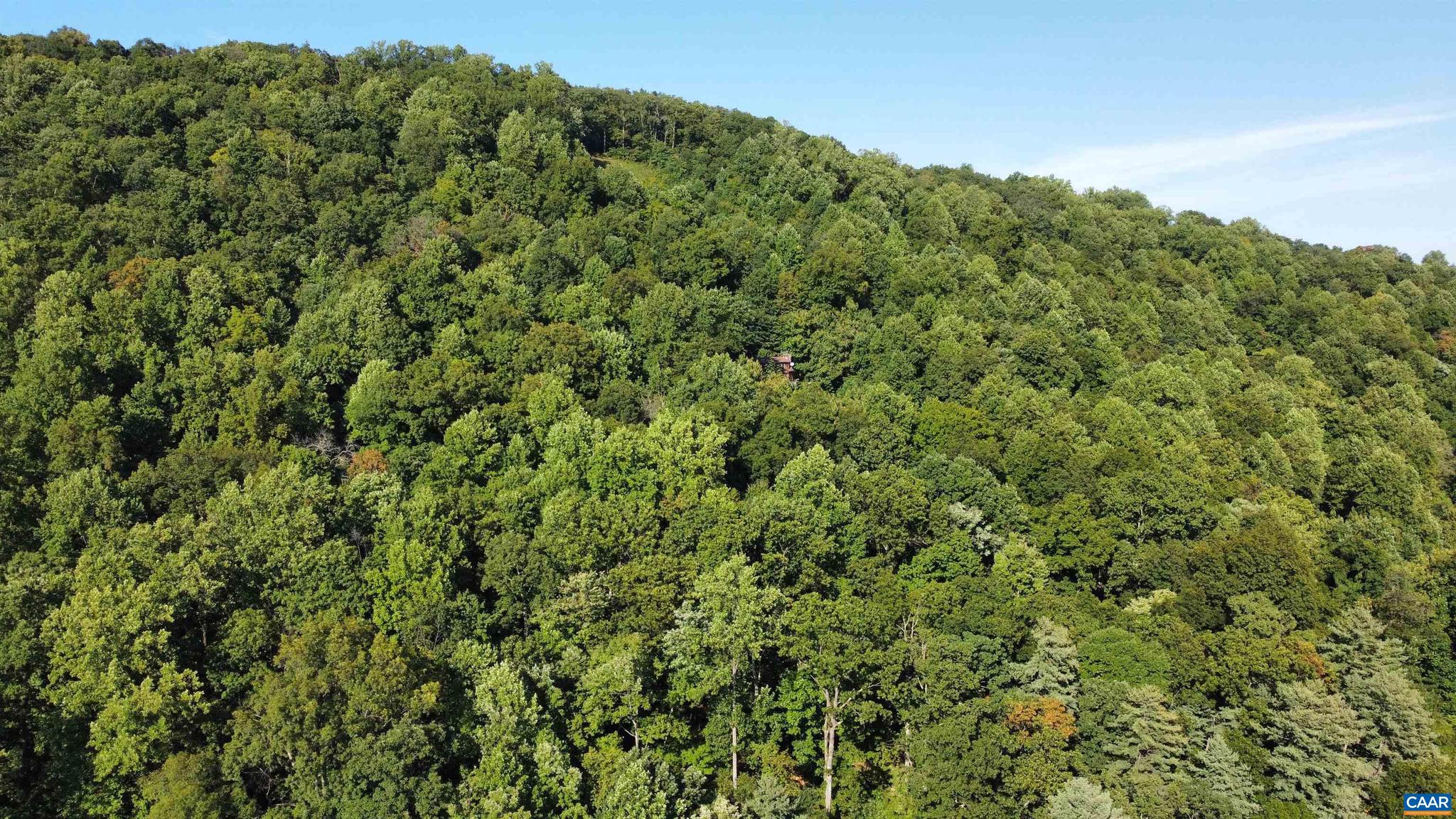 DANIELS MOUNTAIN - Land