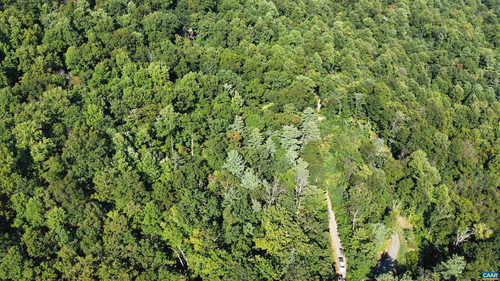 DANIELS MOUNTAIN - Land