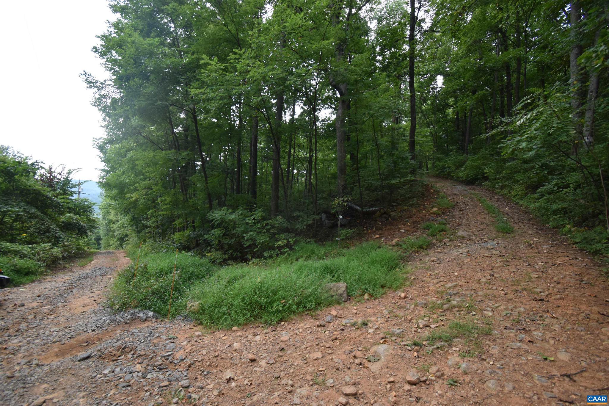 DANIELS MOUNTAIN - Land