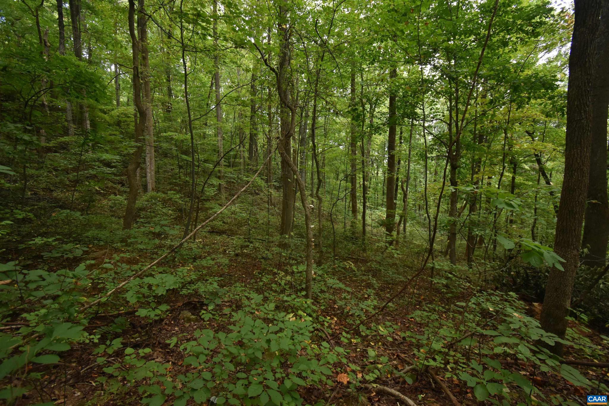 12 OLD MOUNTAIN RD 12