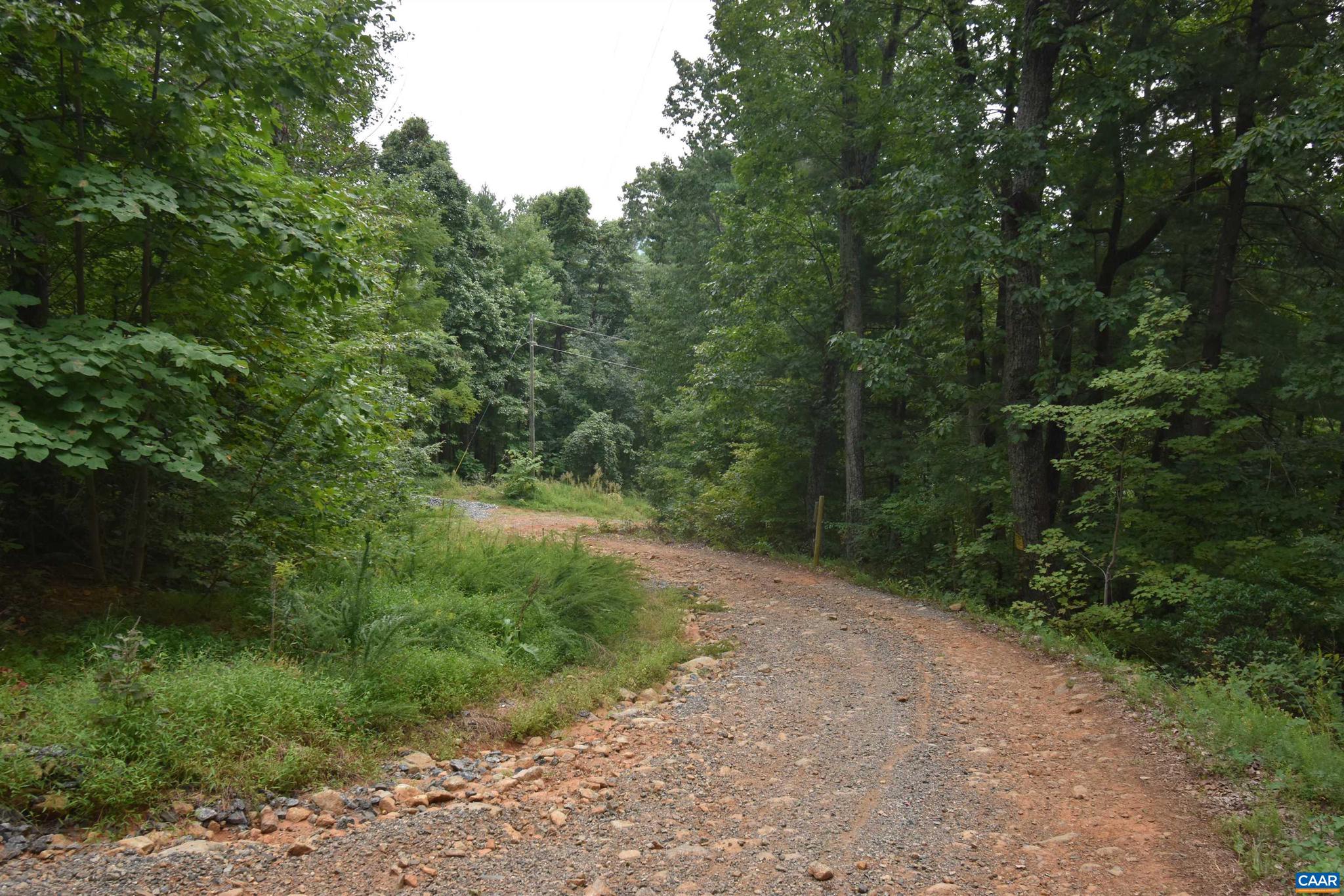 DANIELS MOUNTAIN - Land