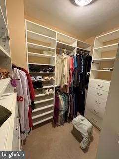 ELKINS PARK HOUSE - Residential