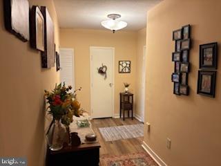 ELKINS PARK HOUSE - Residential