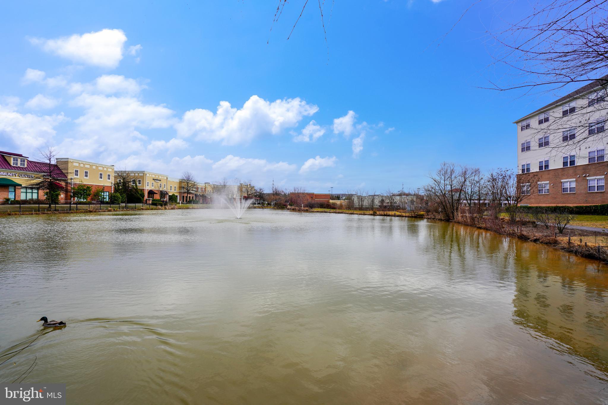 VILLAGE AT WAUGH CHAPEL - Residential