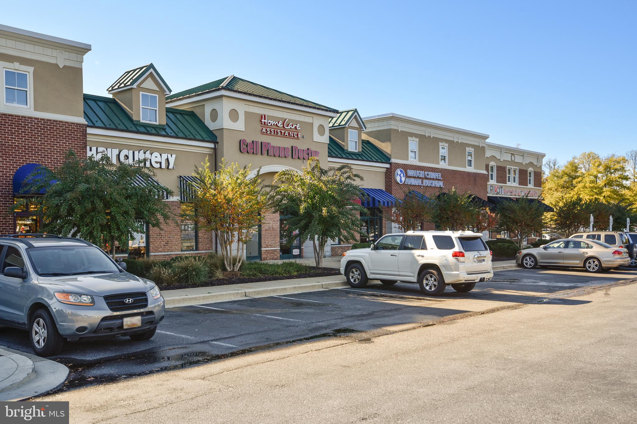 VILLAGE AT WAUGH CHAPEL - Residential