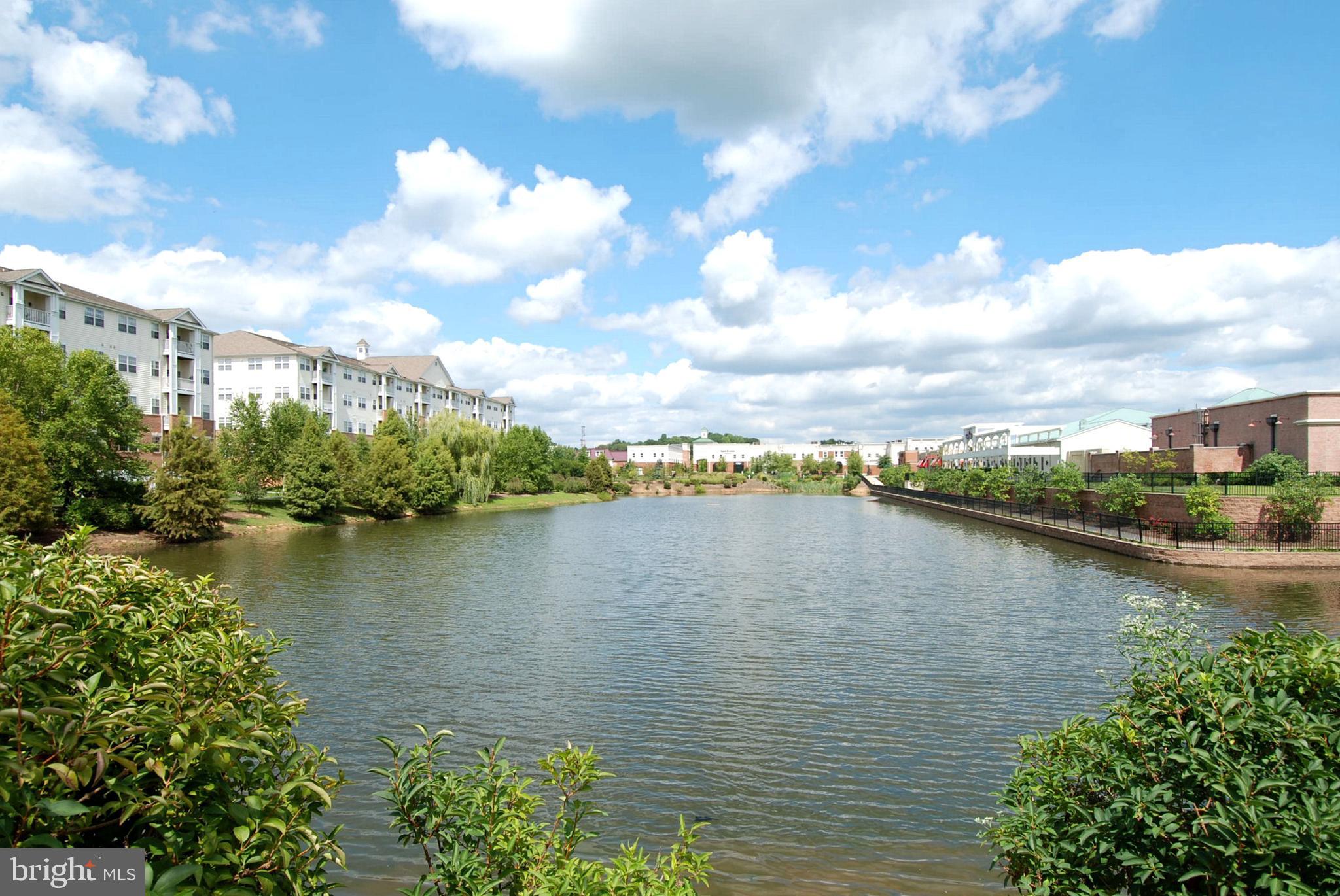 VILLAGE AT WAUGH CHAPEL - Residential