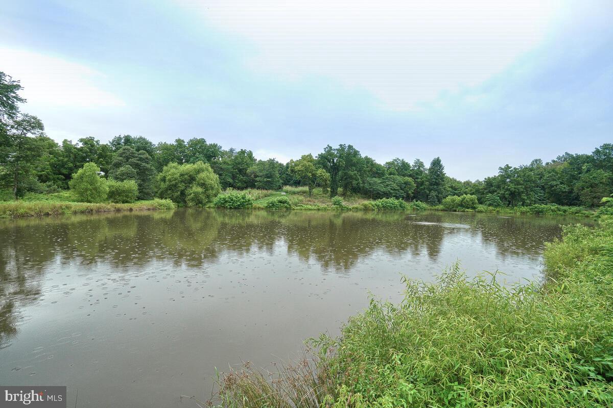 GROVE AT WILLOWSFORD - Residential