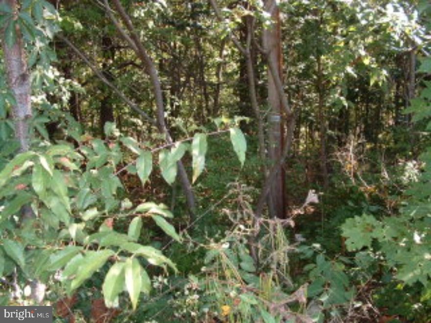 Great lot in Lake Wynonah that offers 24 hour security, 2 lakes, swimming, fishing, tennis, basketball, volleyball, a lodge that serves meals and much, much more. Mailing Address Continued: Auburn