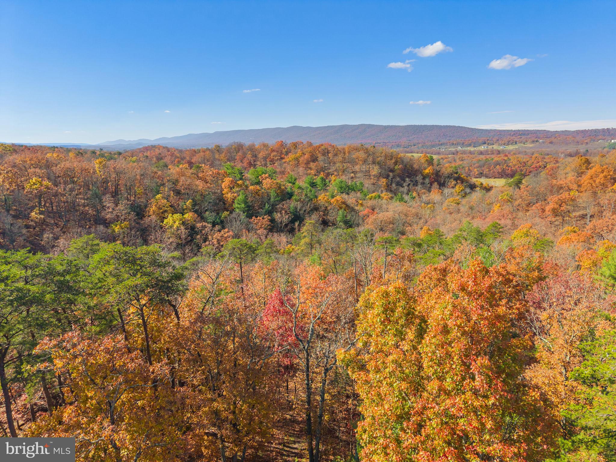 HUNTING RIDGE FOREST - Residential