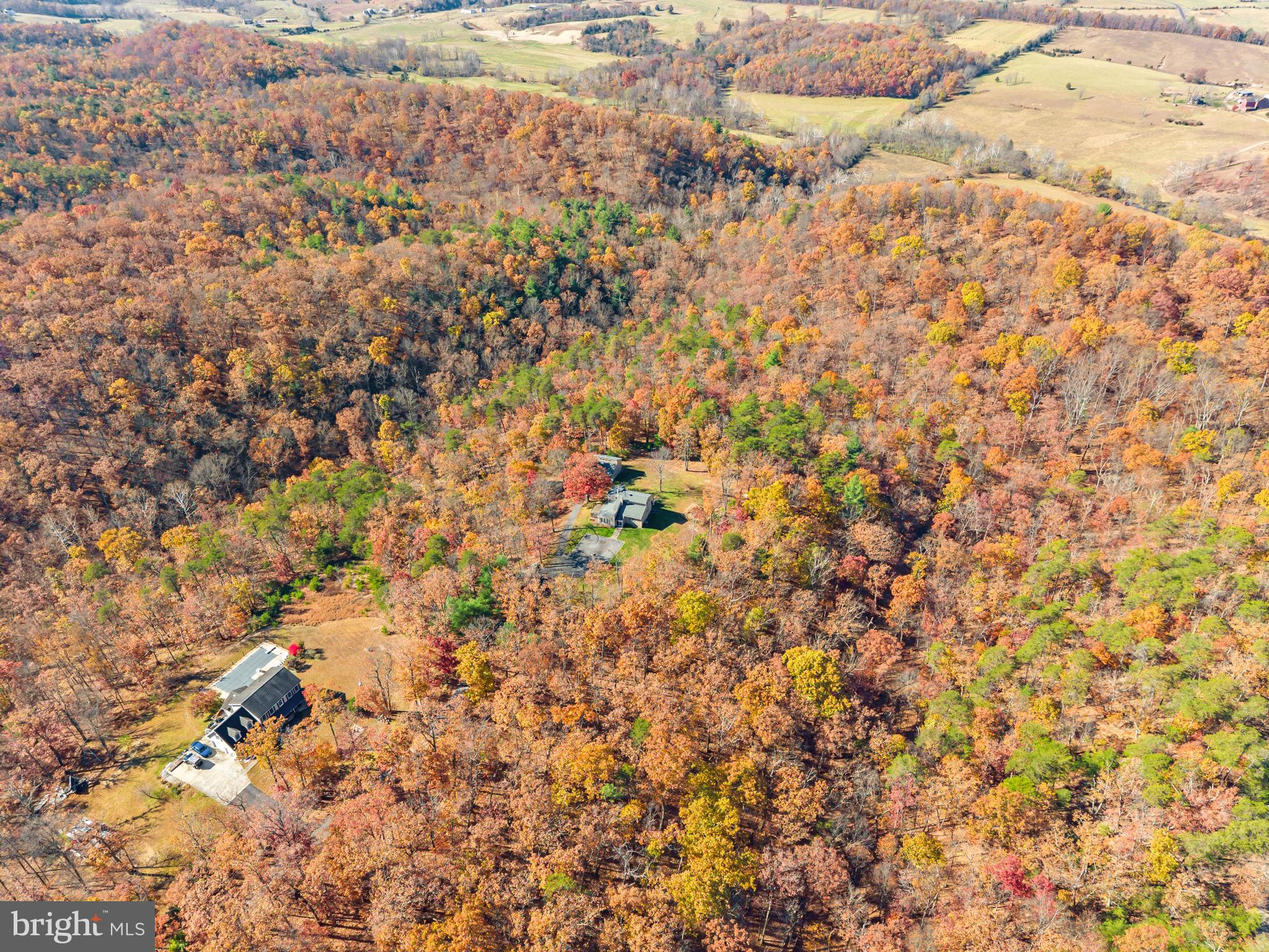 HUNTING RIDGE FOREST - Residential