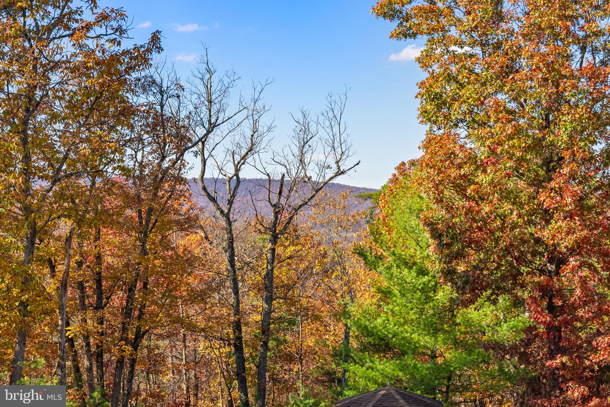 HUNTING RIDGE FOREST - Residential