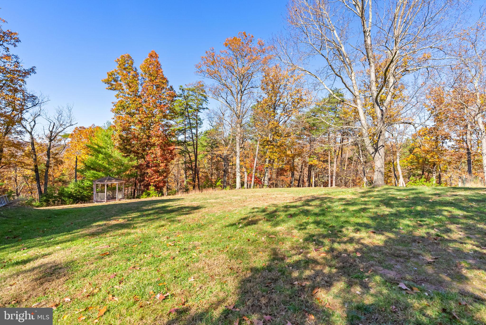 HUNTING RIDGE FOREST - Residential