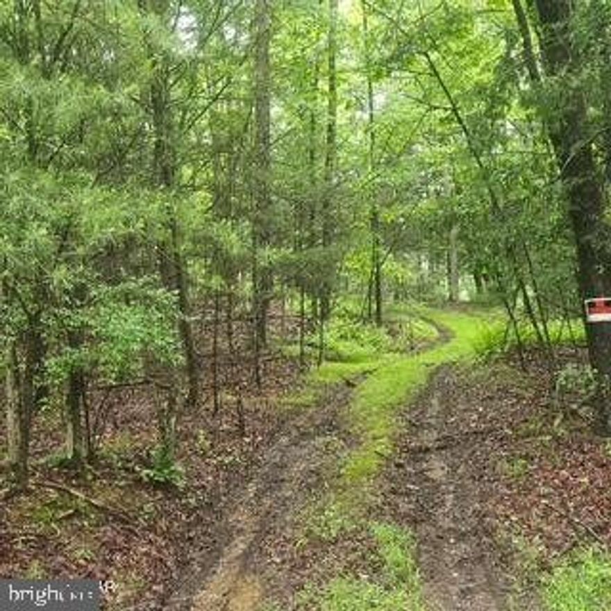 This is a Beautiful Wooded 5.33 Acre Parcel to build your new Home! The site has been perced and ready for a well. Live in the woods but still within a few miles of town. Secluded and peaceful.