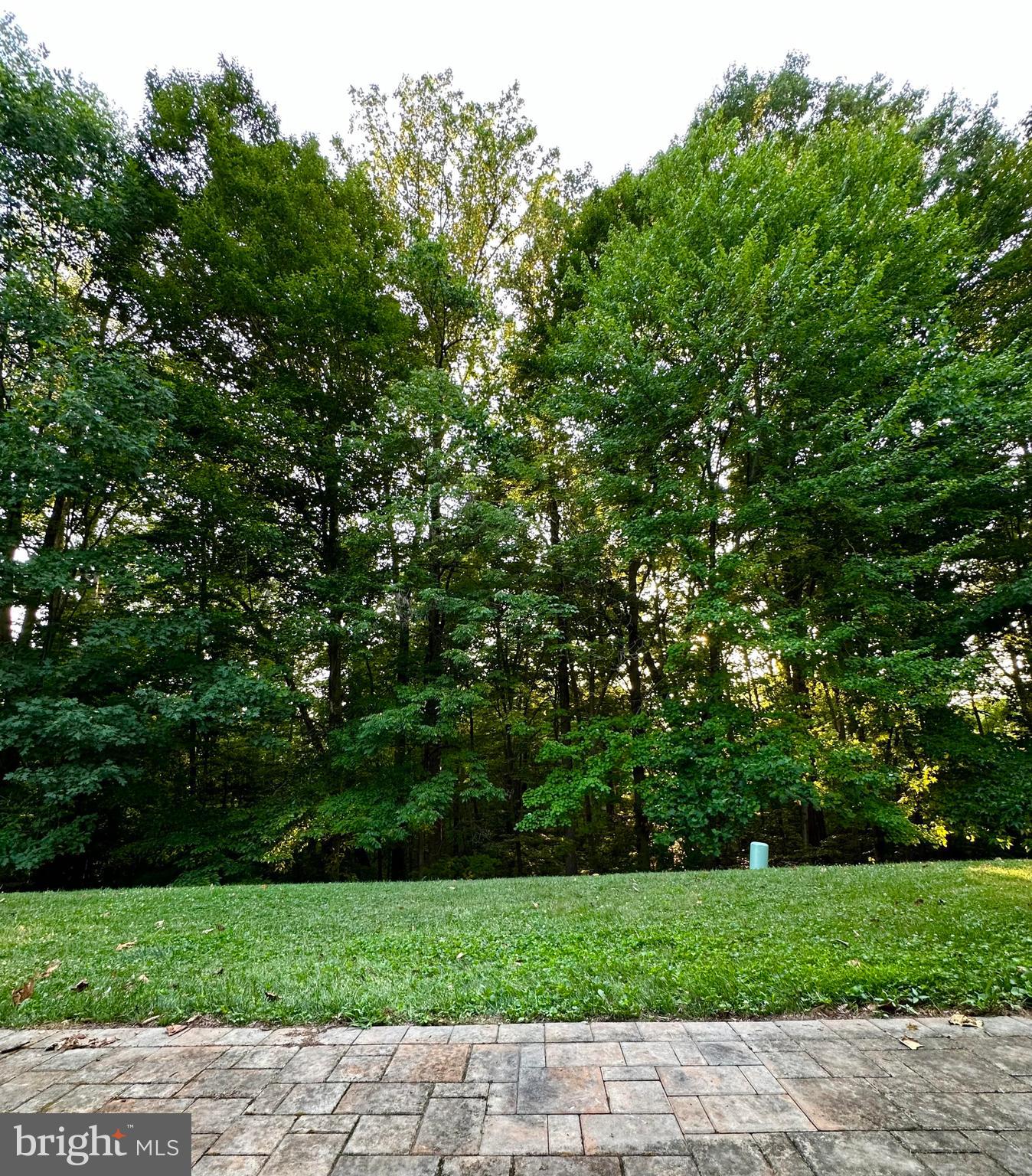 SUMMIT WALK - Residential