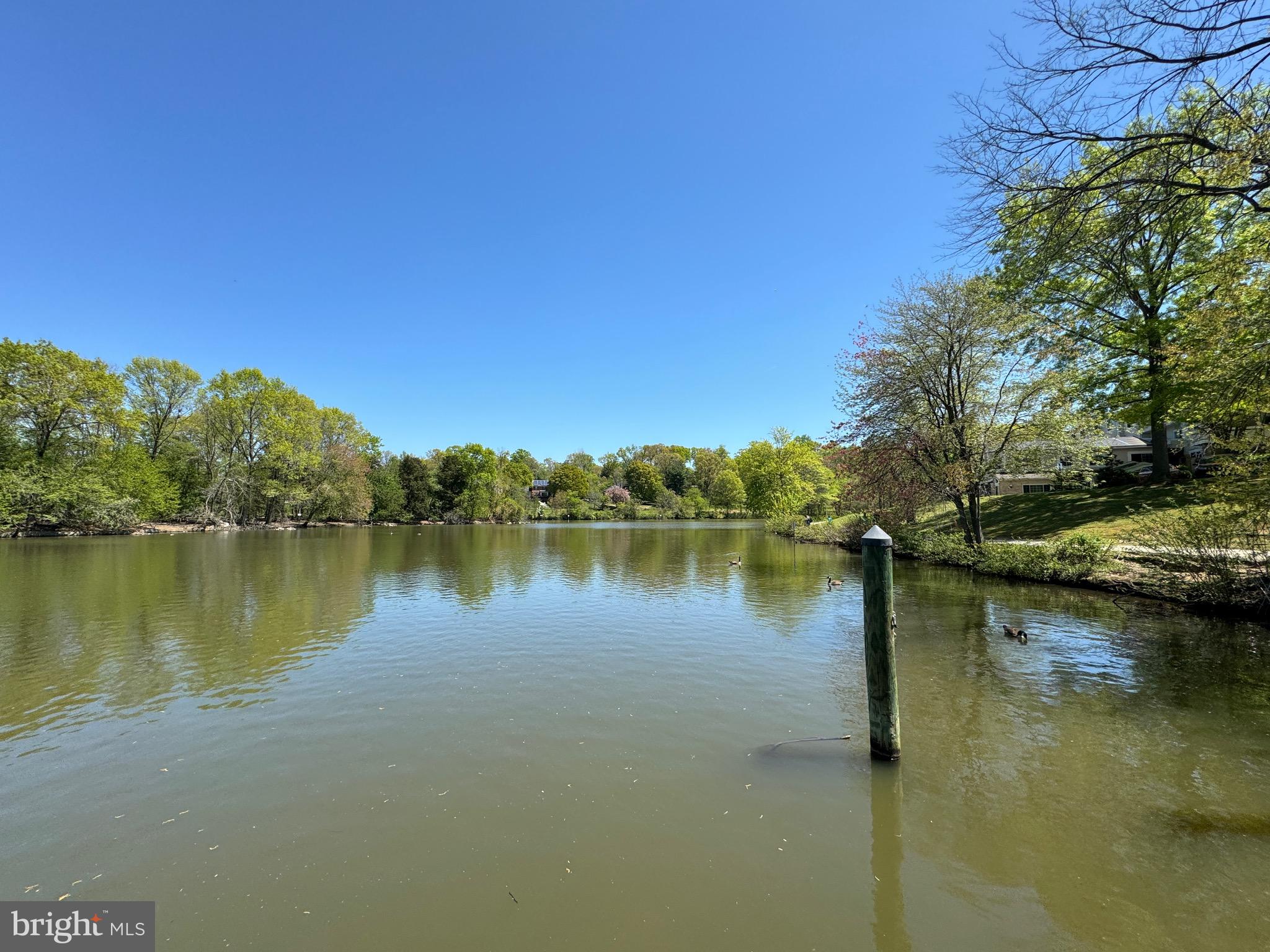 DOCKSIDE - Residential