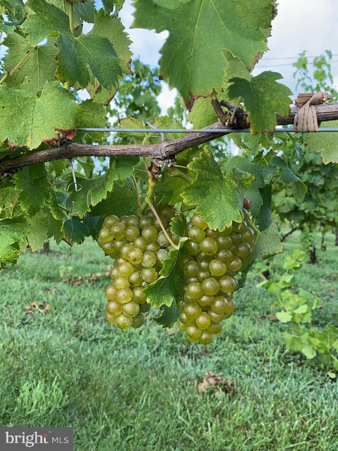 3061 HENDRICKS STORE ROAD