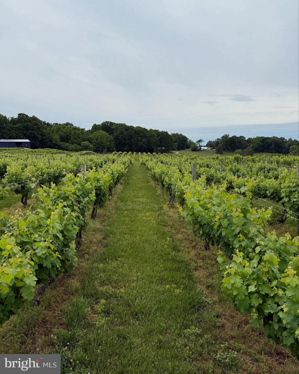 3061 HENDRICKS STORE ROAD