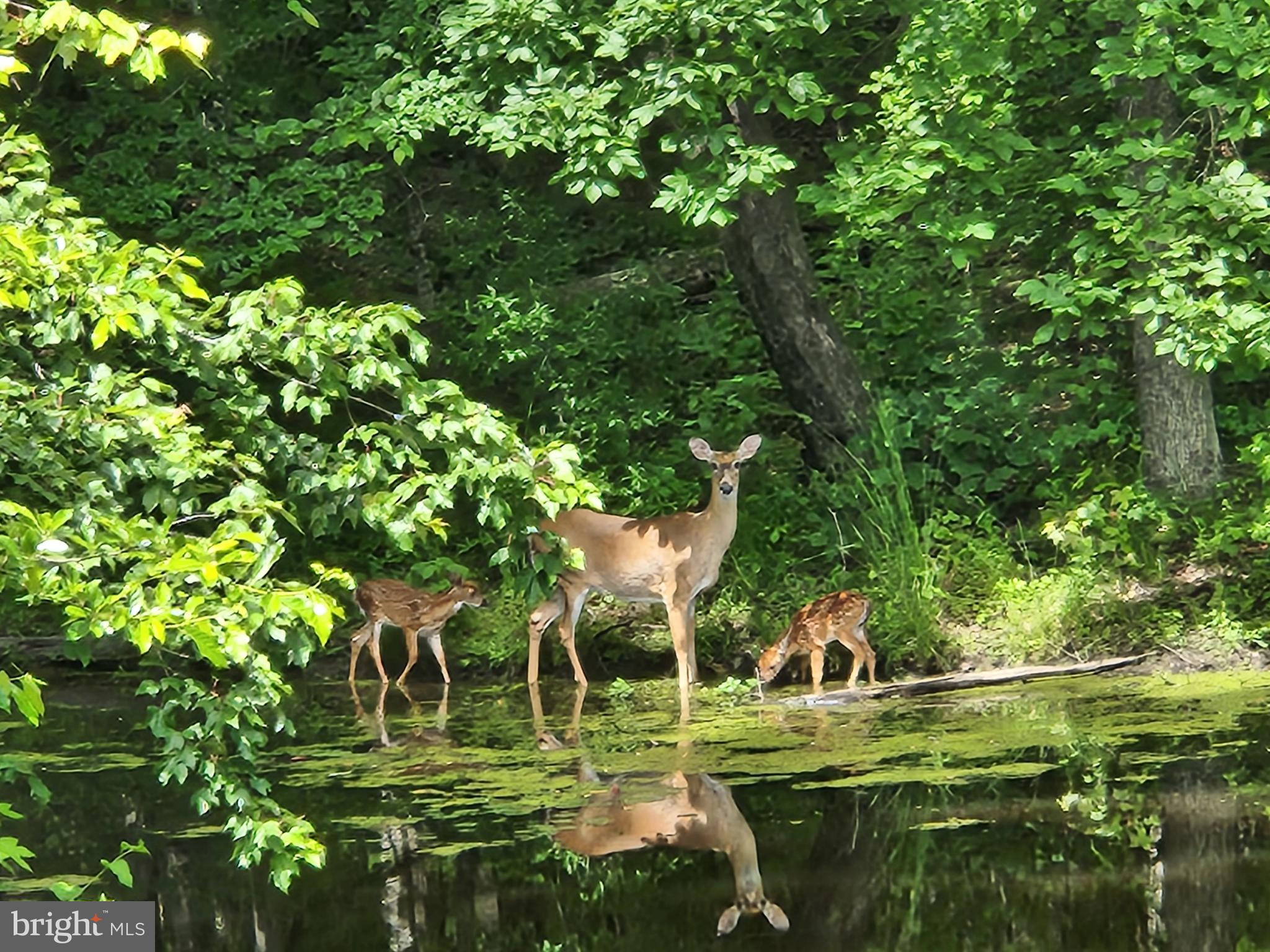 HART TRACT - Residential