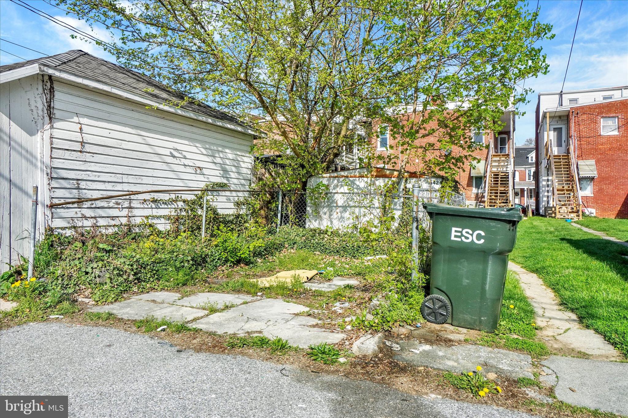 Main image without alt text